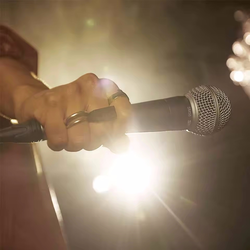 Karaoke Dynamic Microphone Pro - Gaming Console Sale ulasan dan harga